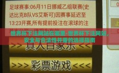 世界杯下注网站在哪里-世界杯下注网站，安全与合法性并重的选择指南