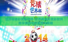 世界杯体彩竞彩软件-世界杯体彩竞彩软件，数字游戏中的激情与策略