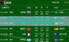 世界杯下注网站在哪里-世界杯下注网站，安全与合法性并重的选择指南