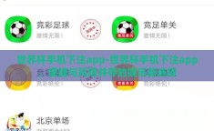 世界杯手机下注app-世界杯手机下注app，便捷与风险并存的娱乐新选择
