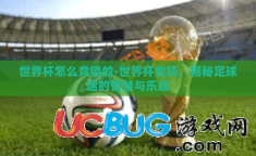 世界杯怎么竞猜的-世界杯竞猜，揭秘足球迷的智慧与乐趣