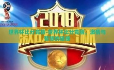 世界杯比分竞猜-世界杯比分竞猜，激情与智慧的碰撞