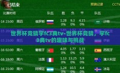 世界杯竞猜宇fc3典tv-世界杯竞猜，宇fc3典tv的趣味与挑战
