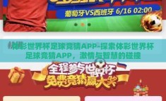 体彩世界杯足球竞猜APP-探索体彩世界杯足球竞猜APP，激情与智慧的碰撞