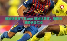篮球世界杯下注app-篮球世界杯，激情与策略的交汇点