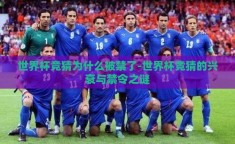世界杯竞猜为什么被禁了-世界杯竞猜的兴衰与禁令之谜