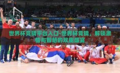世界杯竞猜平台入口-世界杯竞猜，解锁激情与智慧的双重盛宴
