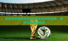 足球世界杯竞猜官网-足球世界杯竞猜，激情与智慧的碰撞