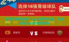 世界杯竞猜用哪个app-世界杯竞猜，选择最佳App的智慧指南