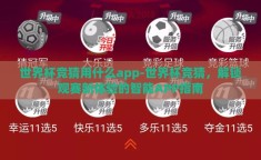 世界杯竞猜用什么app-世界杯竞猜，解锁观赛新体验的智能APP指南