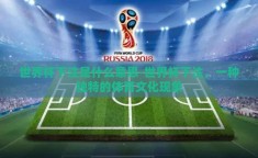 世界杯下注是什么意思-世界杯下注，一种独特的体育文化现象