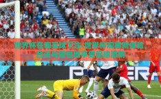 世界杯在哪买球下注-世界杯观赛新体验，合法与理性地享受足球激情