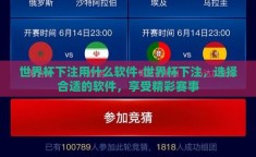 世界杯下注用什么软件-世界杯下注，选择合适的软件，享受精彩赛事