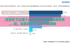 世界杯下注哪个app好用-世界杯观赛新体验，探索高效下注APP的奥秘
