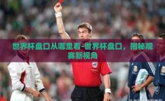 世界杯盘口从哪里看-世界杯盘口，揭秘观赛新视角