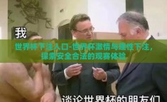 世界杯下注入口-世界杯激情与理性下注，探索安全合法的观赛体验