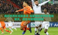 体彩世界杯竞猜单关-探索体彩世界杯竞猜单关，激情与策略的碰撞