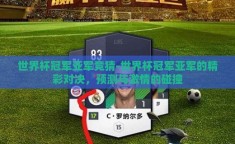 世界杯冠军亚军竞猜-世界杯冠军亚军的精彩对决，预测与激情的碰撞