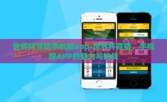 世界杯竞猜手机版app-世界杯竞猜，手机版APP的魅力与挑战