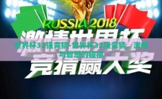 世界杯32强竞猜-世界杯32强竞猜，激情与智慧的碰撞