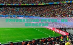 世界杯去哪里可以玩啊-世界杯狂欢，解锁精彩玩乐新体验