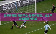 世界杯竞猜 竞猜平台-世界杯竞猜，线上平台的激情与挑战