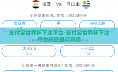 支付宝世界杯下注平台-支付宝世界杯下注平台的便捷与风险