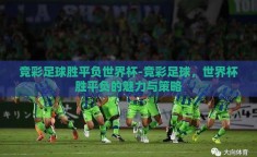 竞彩足球胜平负世界杯-竞彩足球，世界杯胜平负的魅力与策略