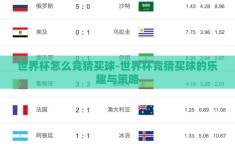 世界杯怎么竞猜买球-世界杯竞猜买球的乐趣与策略