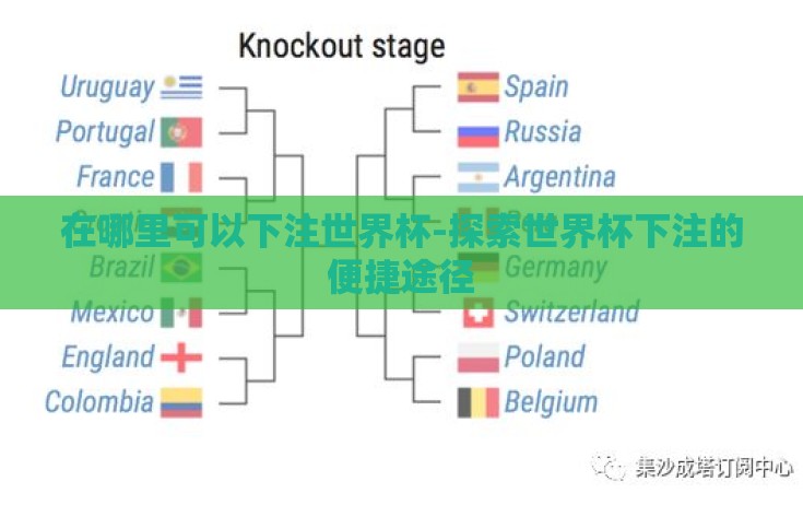 在哪里可以下注世界杯-探索世界杯下注的便捷途径