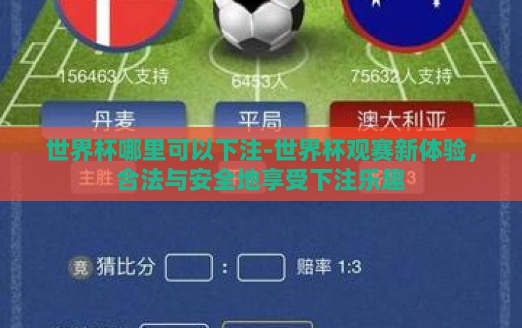 世界杯哪里可以下注-世界杯观赛新体验，合法与安全地享受下注乐趣