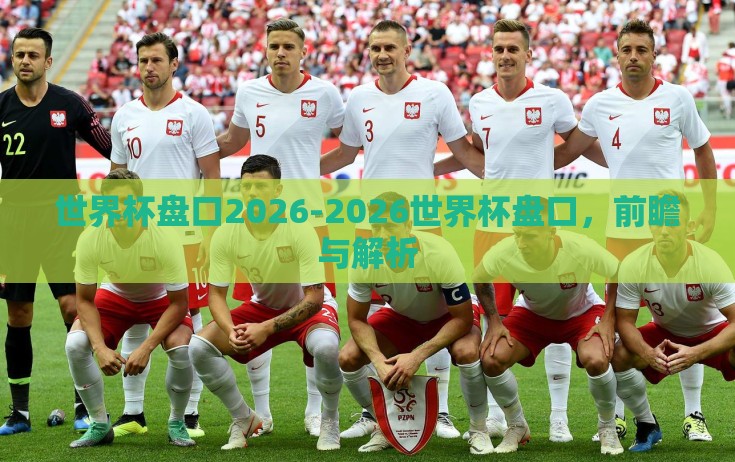 世界杯盘口2026-2026世界杯盘口，前瞻与解析