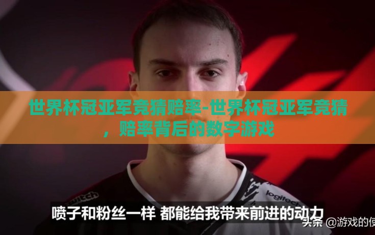 世界杯冠亚军竞猜赔率-世界杯冠亚军竞猜，赔率背后的数字游戏