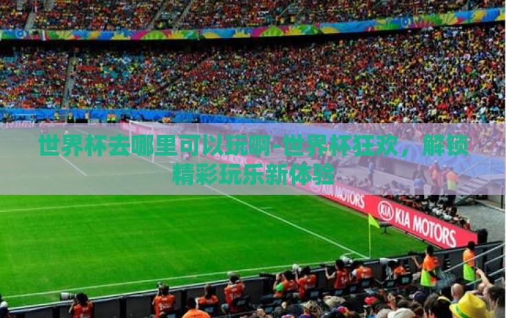 世界杯去哪里可以玩啊-世界杯狂欢，解锁精彩玩乐新体验