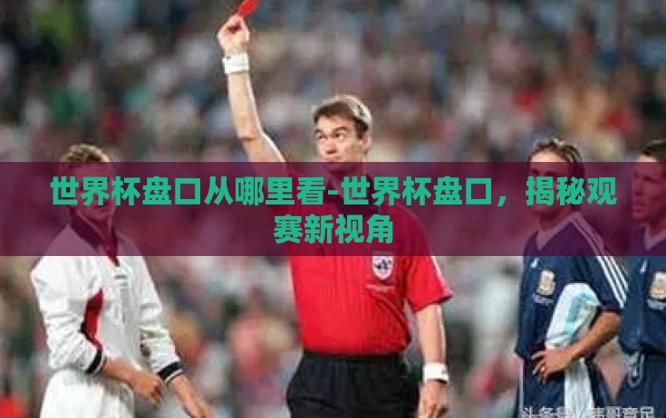 世界杯盘口从哪里看-世界杯盘口，揭秘观赛新视角