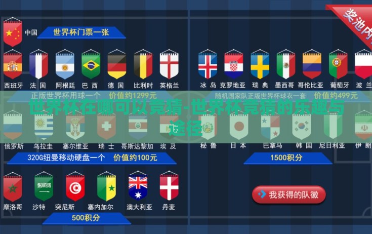 世界杯在哪可以竞猜-世界杯竞猜的乐趣与途径