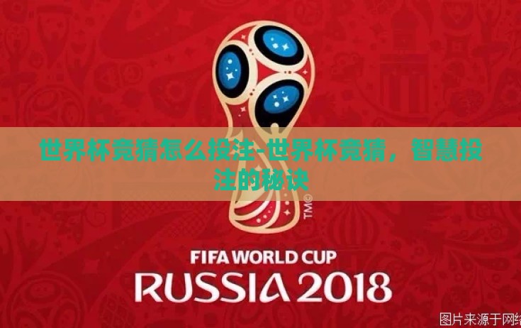 世界杯竞猜怎么投注-世界杯竞猜，智慧投注的秘诀