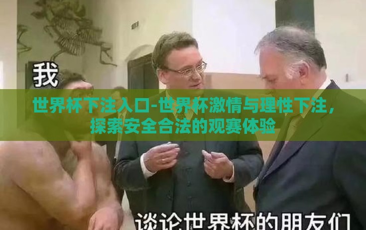 世界杯下注入口-世界杯激情与理性下注，探索安全合法的观赛体验