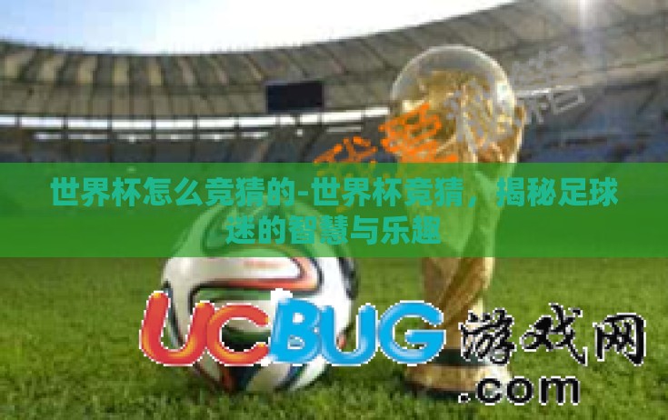 世界杯怎么竞猜的-世界杯竞猜，揭秘足球迷的智慧与乐趣