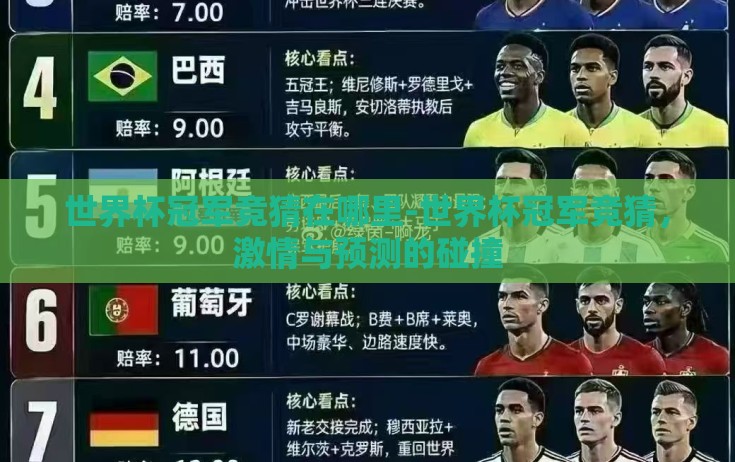 世界杯冠军竞猜在哪里-世界杯冠军竞猜，激情与预测的碰撞