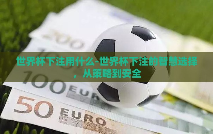 世界杯下注用什么-世界杯下注的智慧选择，从策略到安全