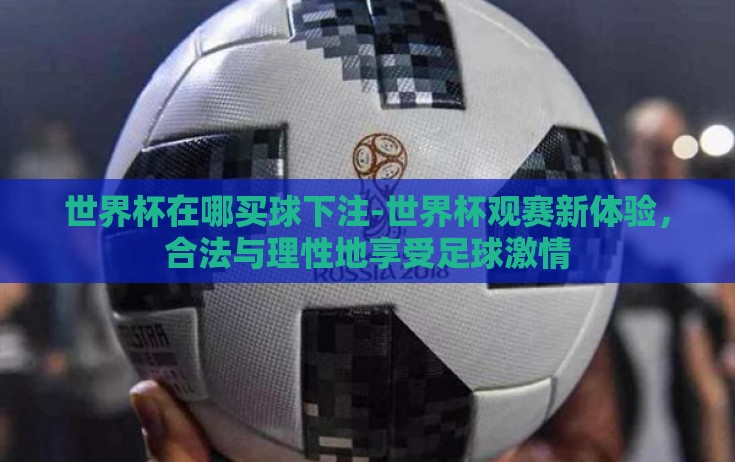世界杯在哪买球下注-世界杯观赛新体验,合法与理性地享受足球激情 世界杯在哪买球下注-世界杯观赛新体验,合法与理性地享受足球激情
