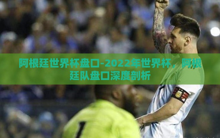 阿根廷世界杯盘口-2022年世界杯，阿根廷队盘口深度剖析