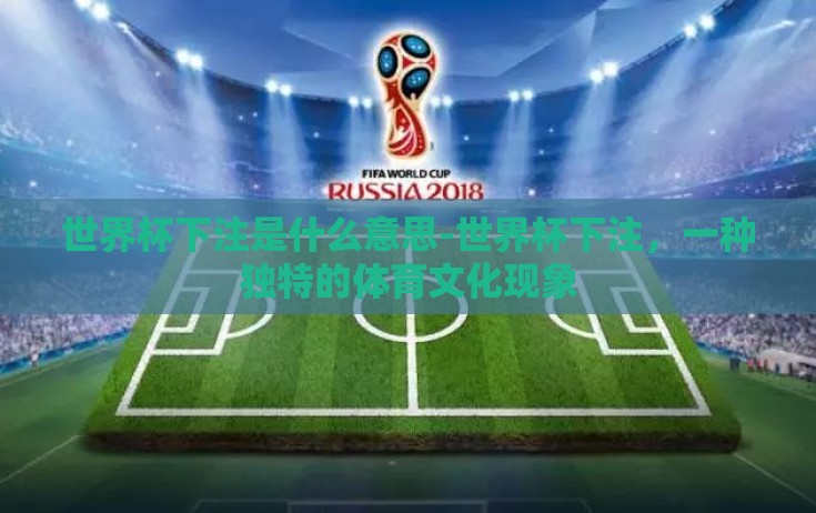 世界杯下注是什么意思-世界杯下注，一种独特的体育文化现象