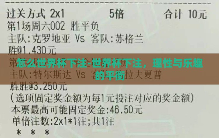 怎么世界杯下注-世界杯下注，理性与乐趣的平衡