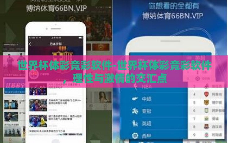 世界杯体彩竞彩软件-世界杯体彩竞彩软件,理性与激情的交汇点 世界杯体彩竞彩软件-世界杯体彩竞彩软件,理性与激情的交汇点