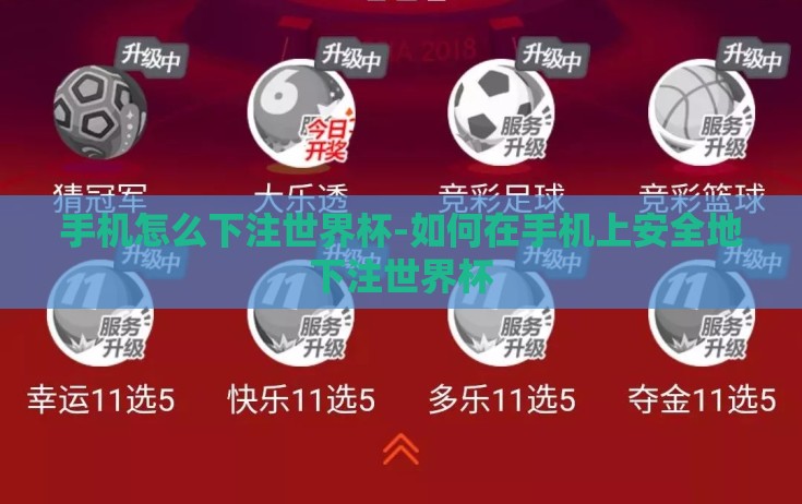 手机怎么下注世界杯-如何在手机上安全地下注世界杯