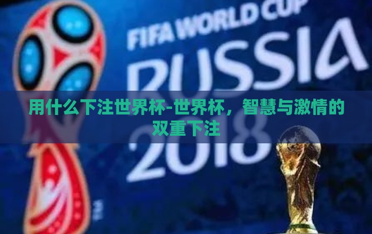 用什么下注世界杯-世界杯，智慧与激情的双重下注