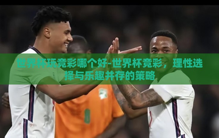 世界杯玩竞彩哪个好-世界杯竞彩,理性选择与乐趣并存的策略 世界杯玩竞彩哪个好-世界杯竞彩,理性选择与乐趣并存的策略