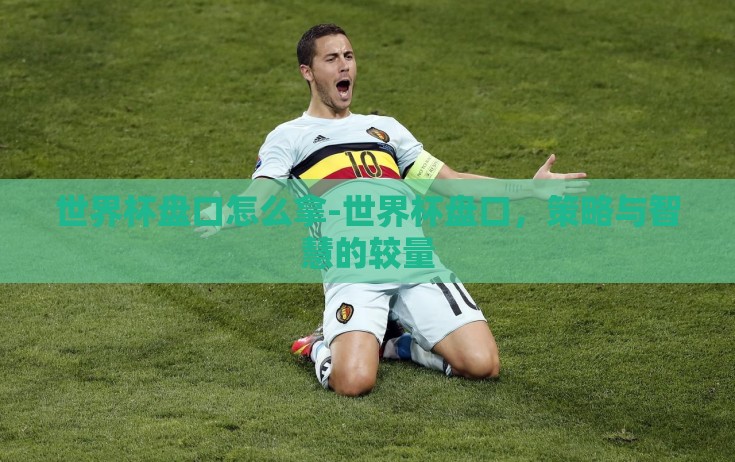 世界杯盘口怎么拿-世界杯盘口,策略与智慧的较量 世界杯盘口怎么拿-世界杯盘口,策略与智慧的较量